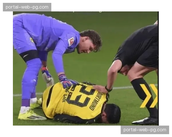 确认：枫叶队头号球星奥斯顿·马修斯赛季报销，因腹股沟伤势